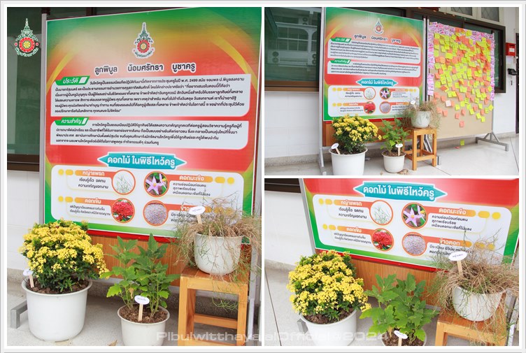 PBSTDTeachertray12 06 2024 A3